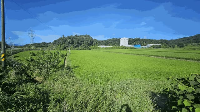 B000512202501300000904.jpg