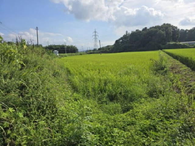B000512202501300000902.jpg