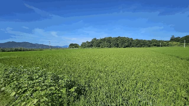 B000512202501300000903.jpg