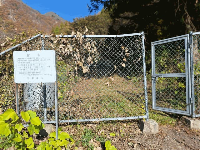B000512202501300001033.jpg