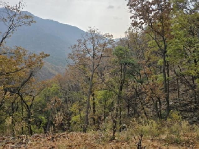 B000512202501300001031.jpg