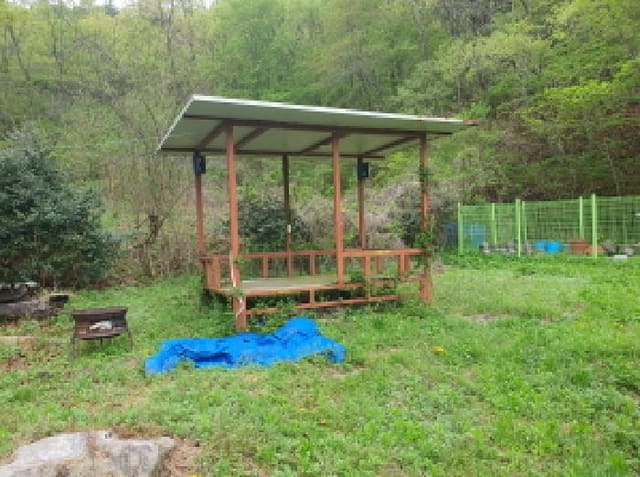B000512202501300052224.jpg