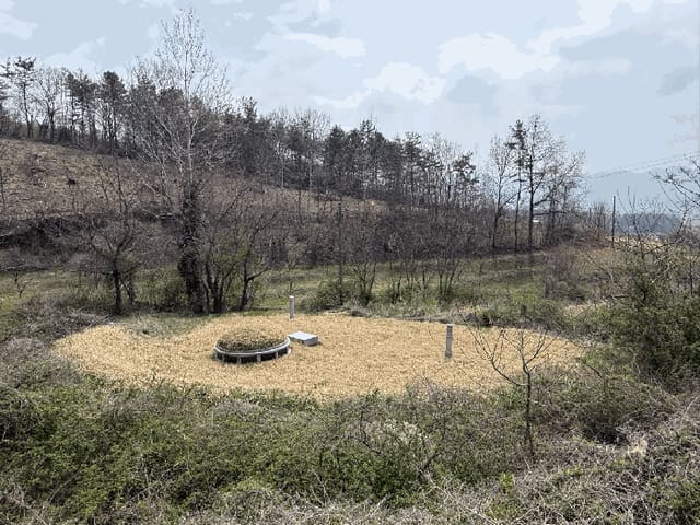 B000512202501300052274.jpg