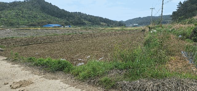 B000512202501300052584.jpg