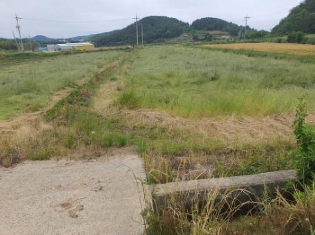 B000512202501300052582.jpg