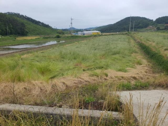 B000512202501300052583.jpg