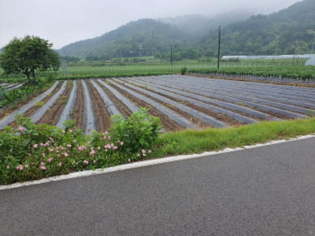 B000512202501300052772.jpg