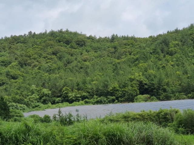 B000512202501300052893.jpg