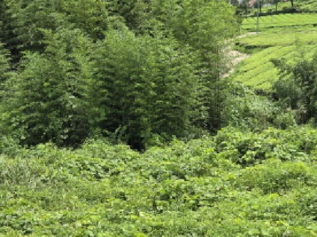 B000512202501300053014.jpg