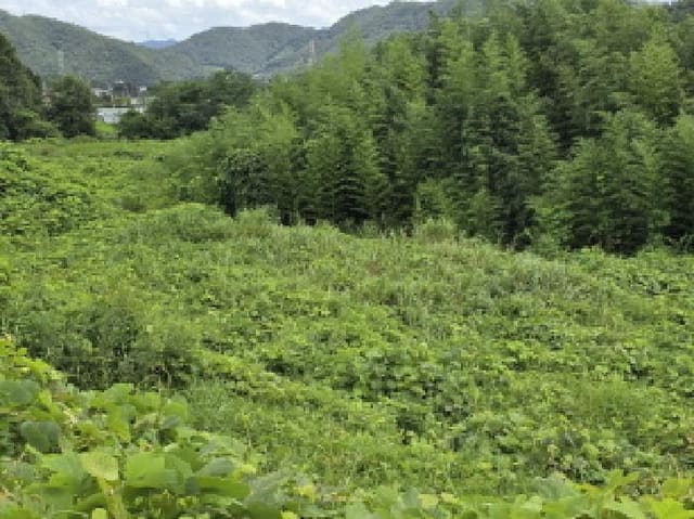 B000512202501300053013.jpg