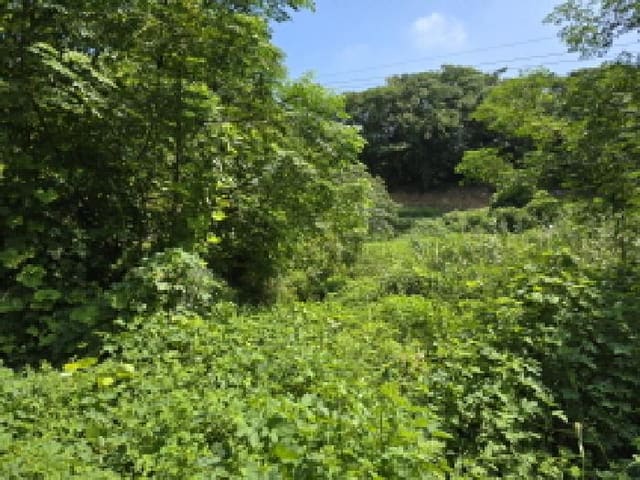 B000512202501300053121.jpg