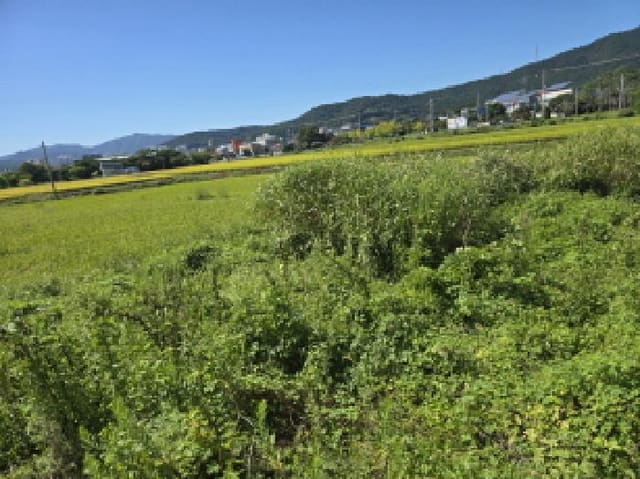 B000512202501300053193.jpg