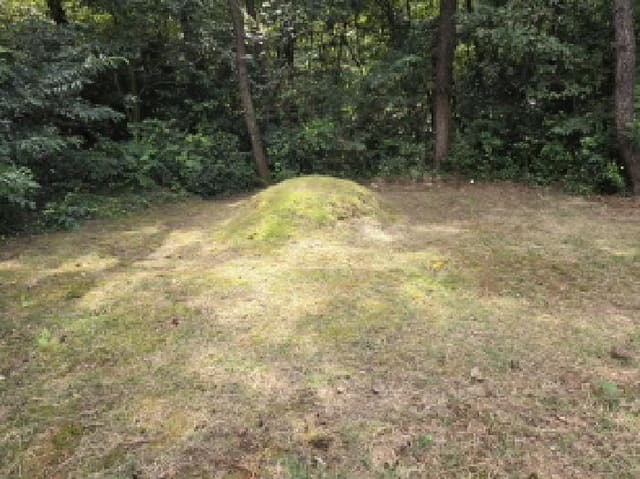 B000512202501300053242.jpg