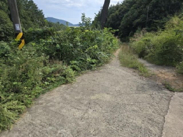 B000512202501300053241.jpg