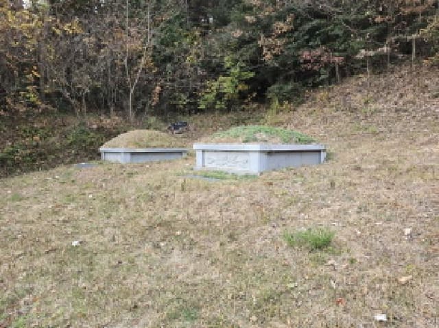 B000512202501300053553.jpg