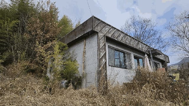 B000512202501300053674.jpg