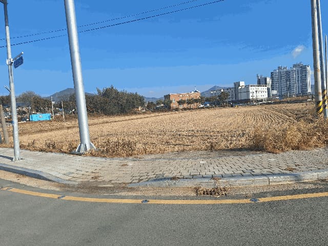 B000512202501300053691.jpg