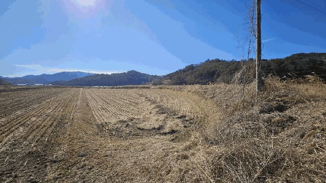 B000512202501300053714.jpg