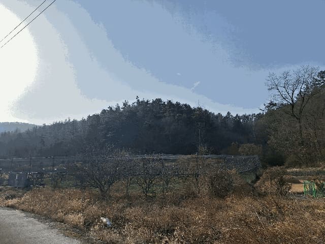 B000512202501300053822.jpg