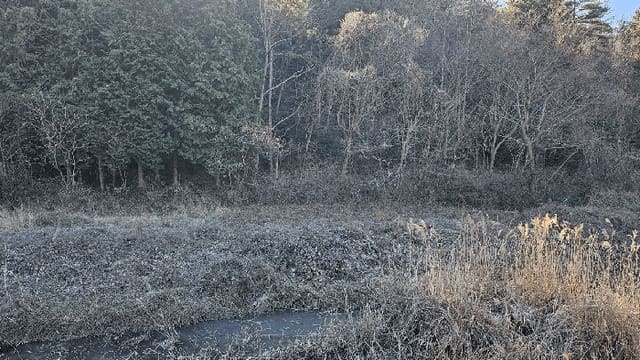 B000512202501300053843.jpg
