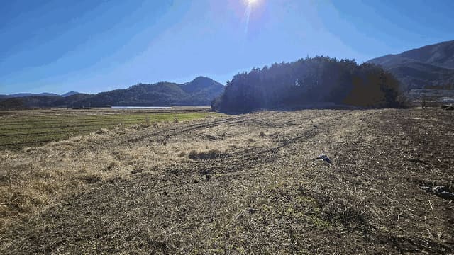 B000512202501300053844.jpg
