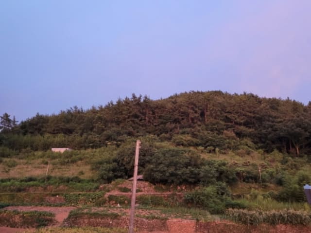 B0005132021013000400715.jpg