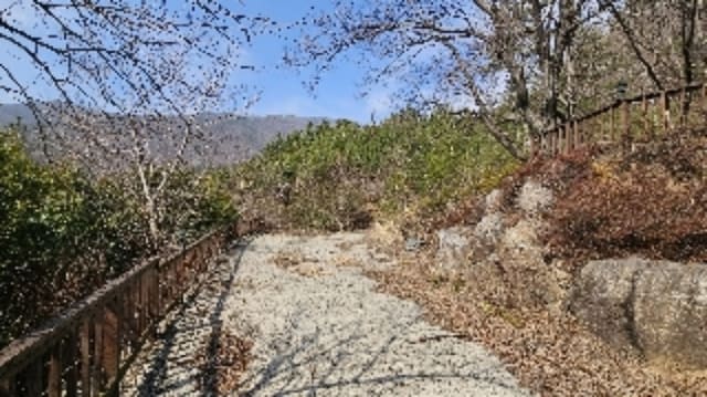 B000513202401300005561.jpg
