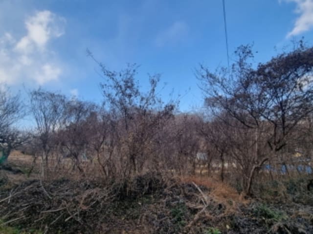 B0005132024013000548333.jpg