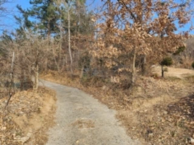 B000513202401300055201.jpg