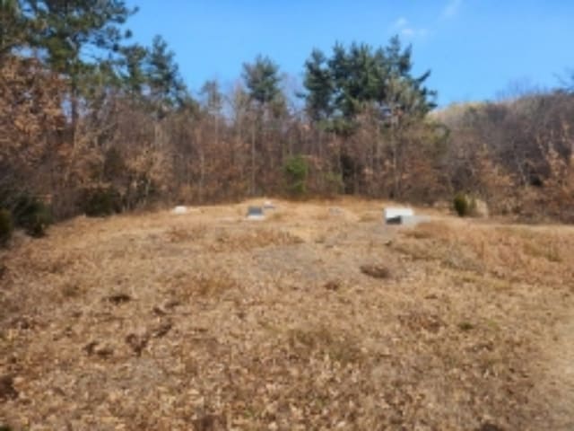 B000513202401300055204.jpg
