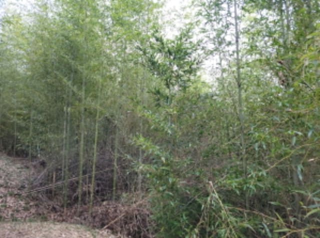 B0005132024013005251910.jpg