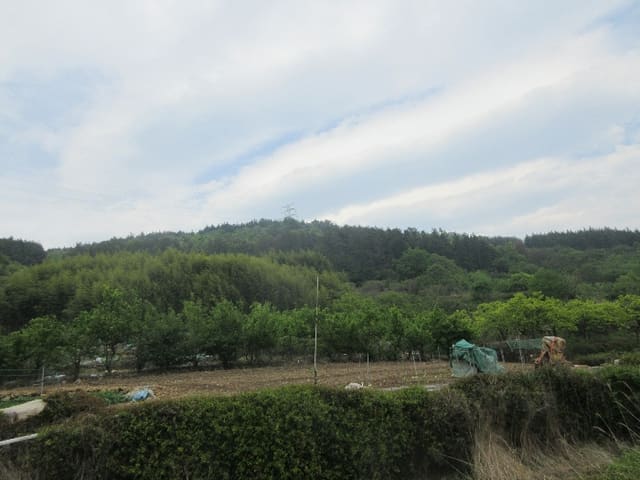 B000513202401300529844.jpg