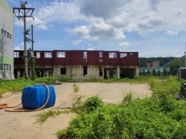 B000513202401300578662.jpg