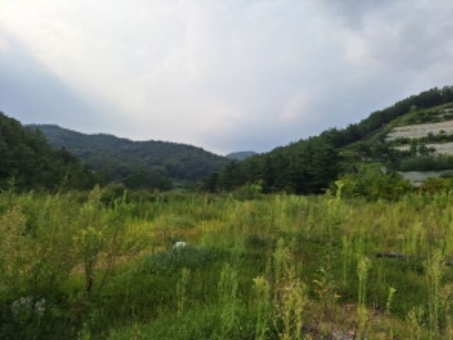 B000513202401300584251.jpg