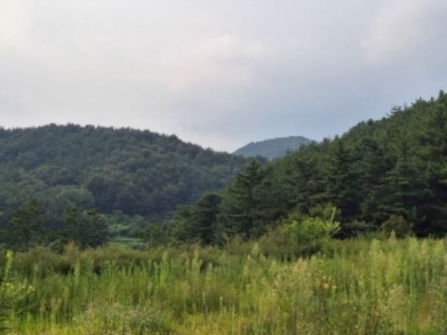 B000513202401300584252.jpg
