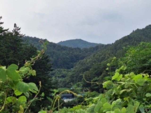 B000513202401300584253.jpg