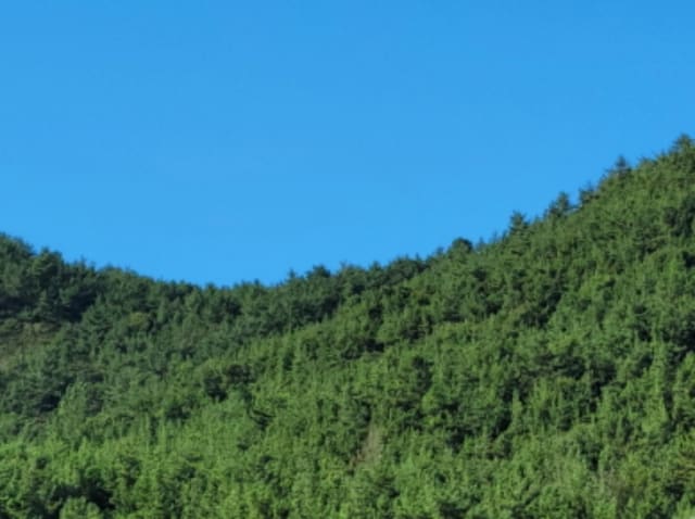 B000513202401300587391.jpg