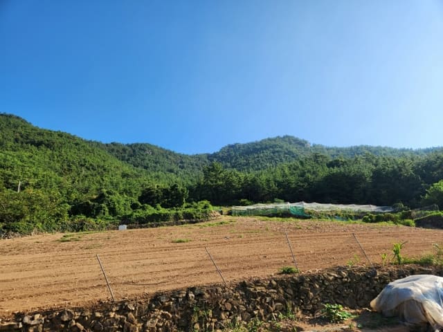 B000513202401300587394.jpg