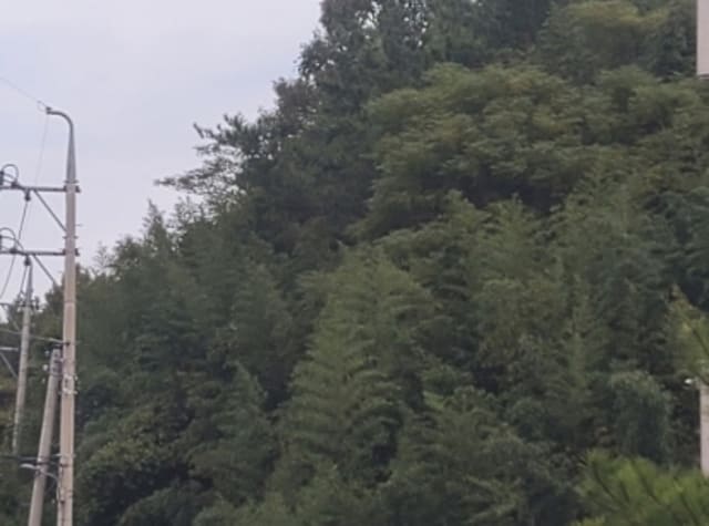 B000513202401300608862.jpg