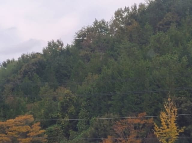 B000513202401300608861.jpg