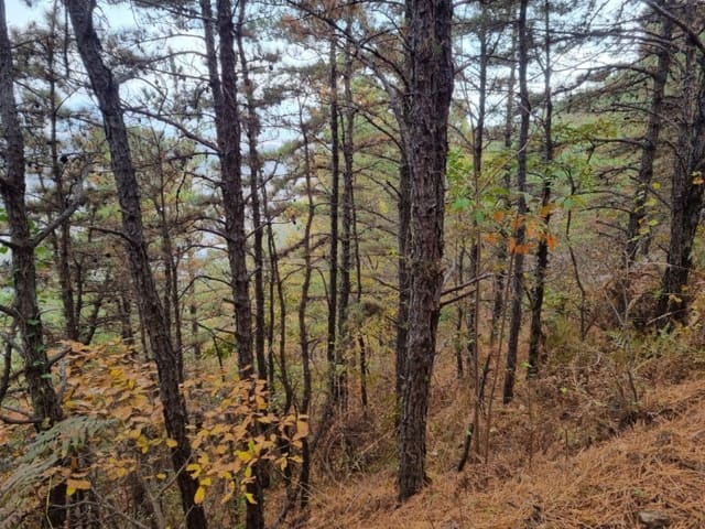 B000513202401300617354.jpg