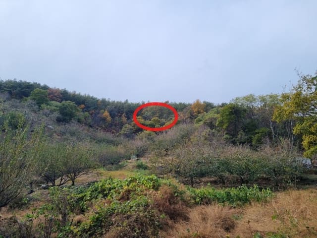 B000513202401300617353.jpg