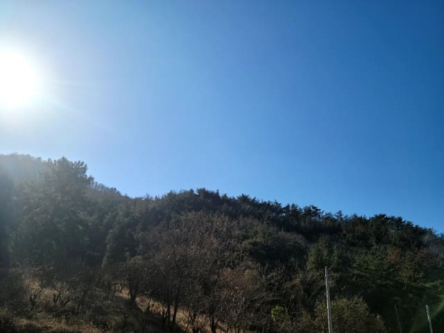B000513202401300631994.jpg