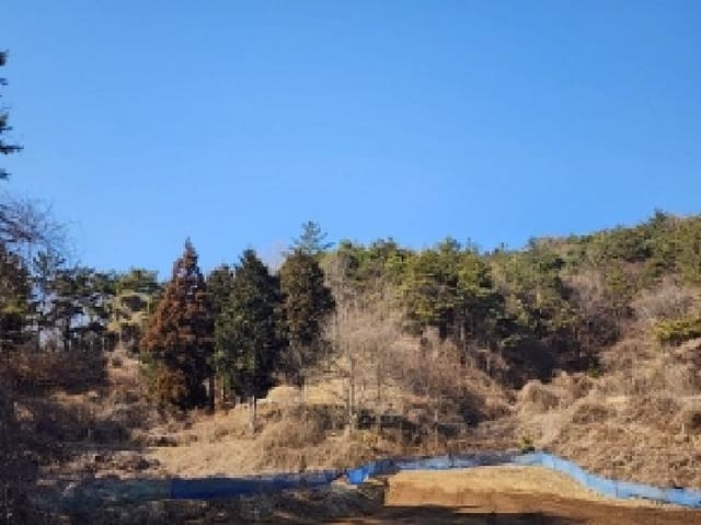 B000513202501300002871.jpg