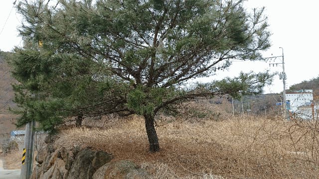 B0005132025013000033015.jpg