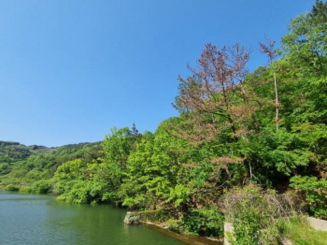 B000513202501300004212.jpg