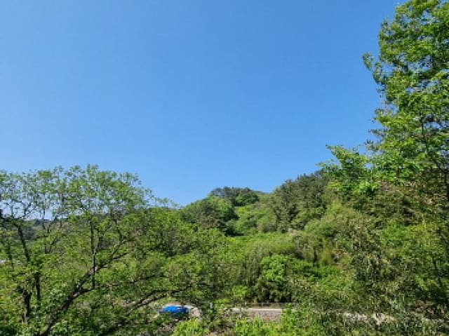 B000513202501300004213.jpg