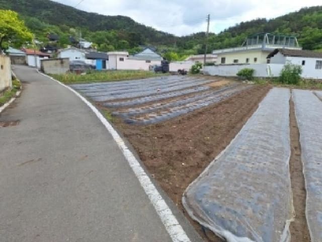 B000513202501300004473.jpg
