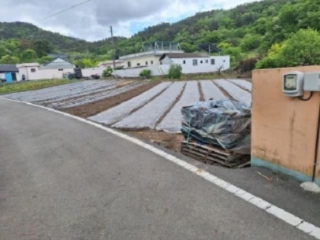 B000513202501300004471.jpg