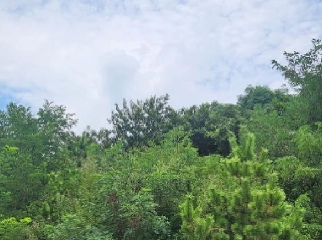B000513202501300005433.jpg